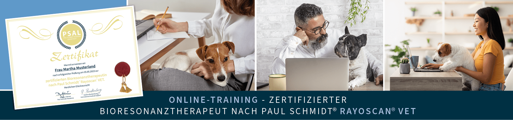 Online-Training Zertifizierter Bioresonanztherapeut nach Paul Schmidt® Rayoscan® VET