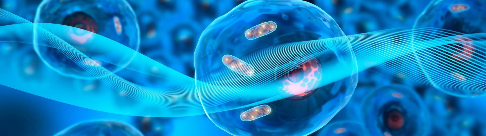 Rayonex ist ihr vertrauensvoller Partner für Geräte zur Bioresonanz nach Paul Schmidt