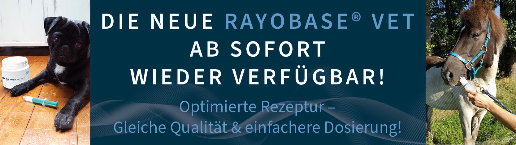 Rayonex ist ihr vertrauensvoller Partner für Geräte zur Bioresonanz nach Paul Schmidt