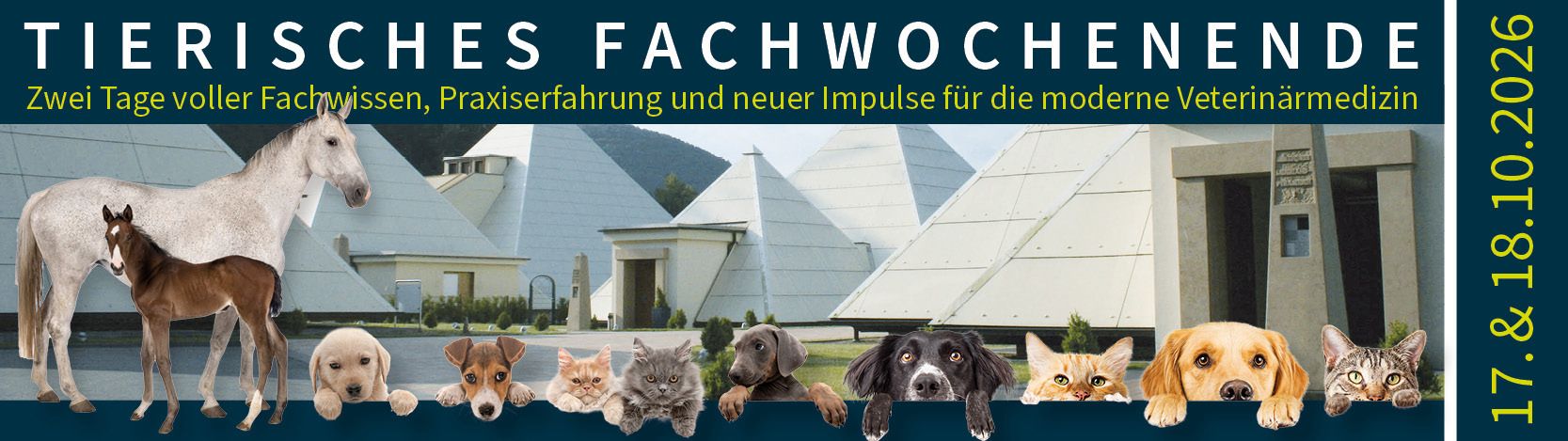Rayonex ist ihr vertrauensvoller Partner für Geräte zur Bioresonanz nach Paul Schmidt