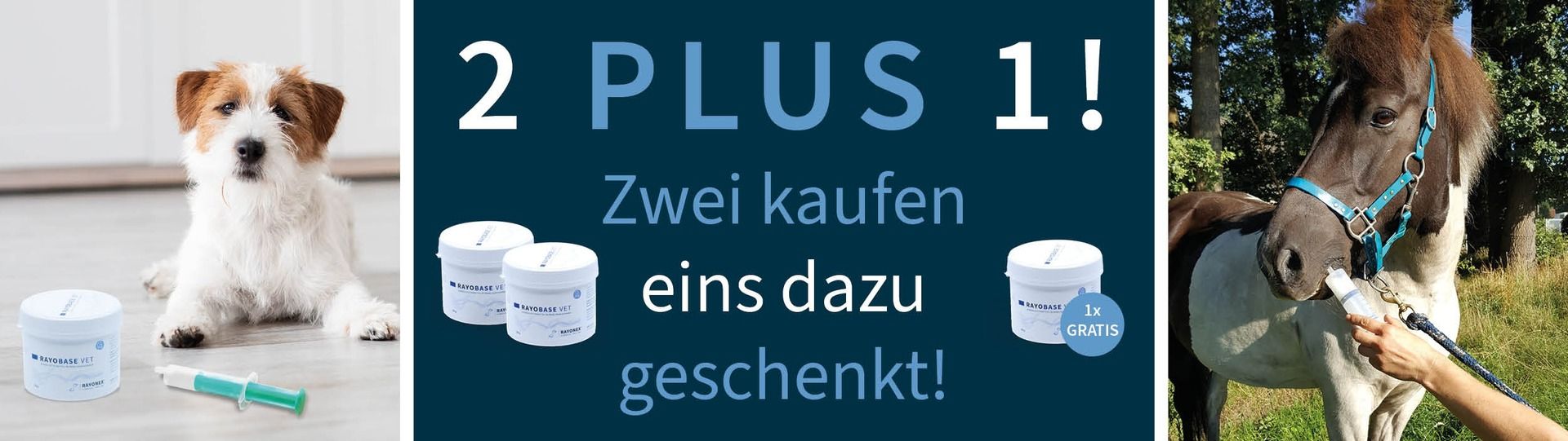 Rayonex ist ihr vertrauensvoller Partner für Geräte zur Bioresonanz nach Paul Schmidt