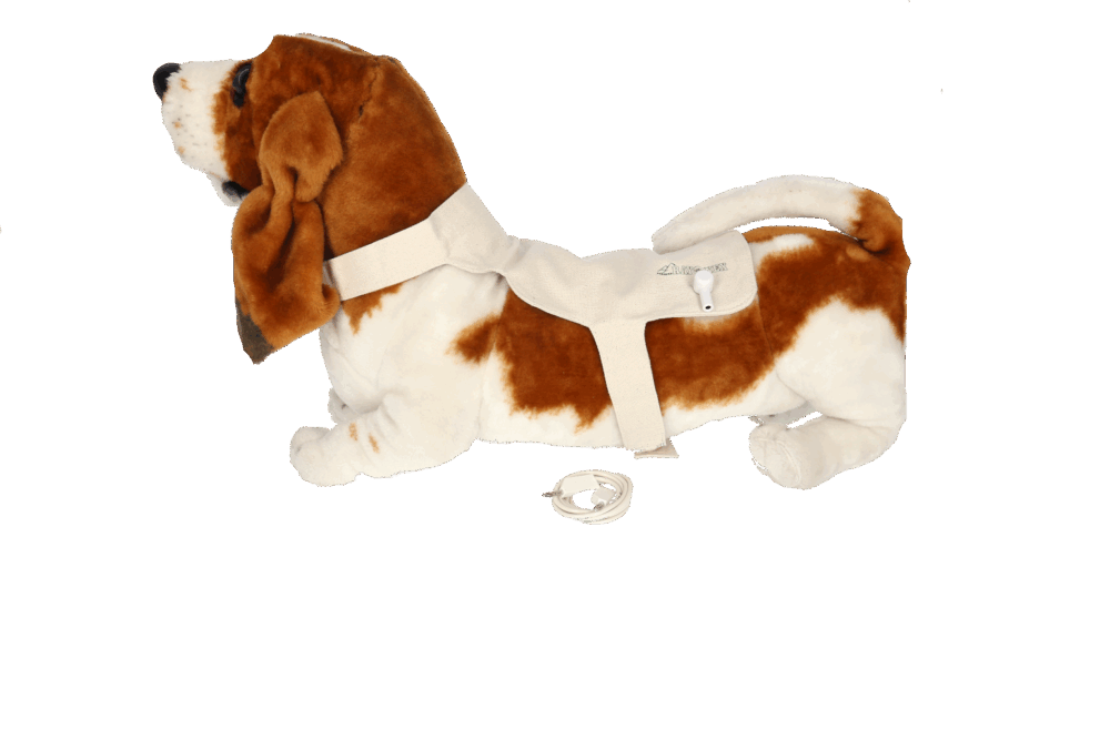 Stoffdetektor kleiner Hund