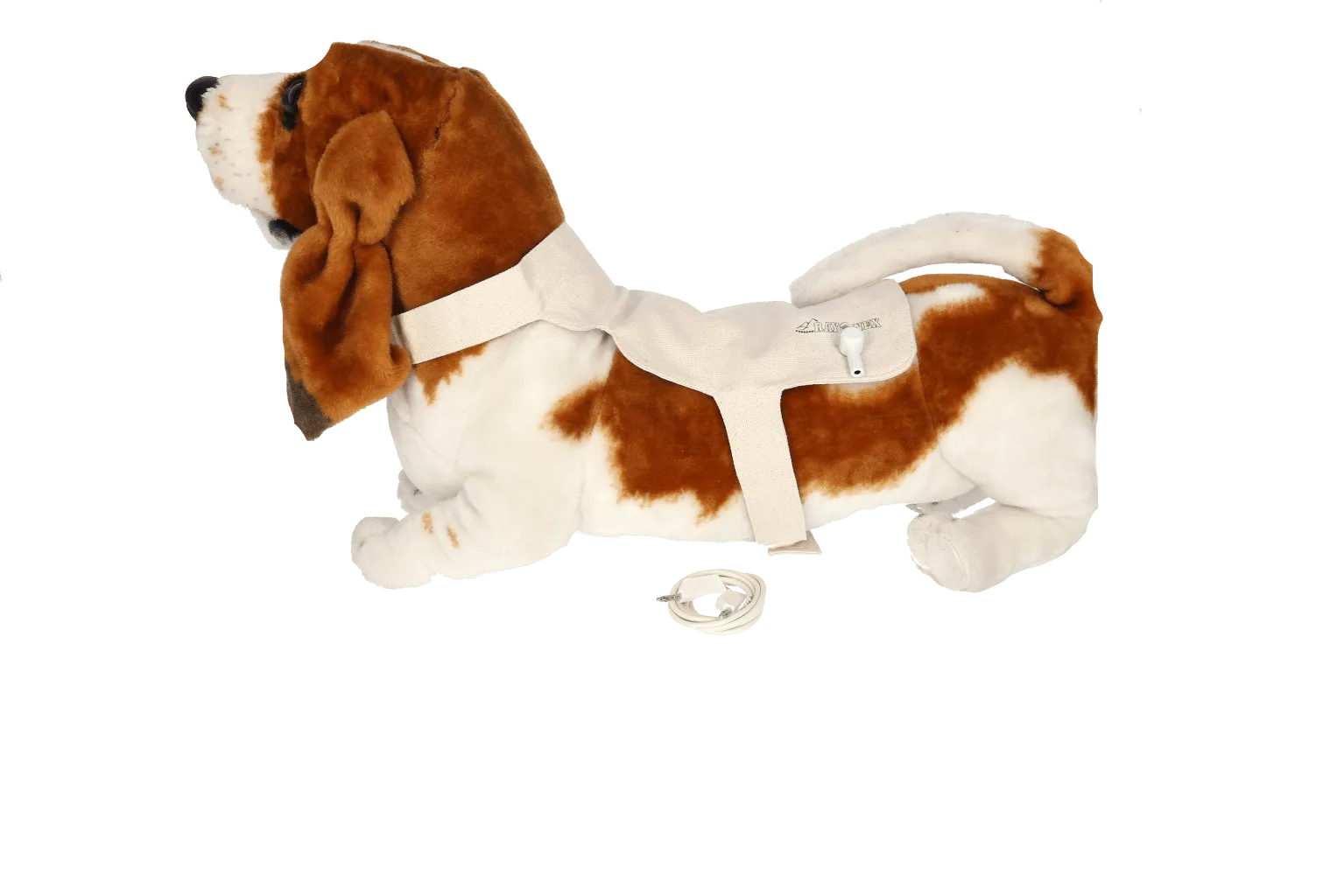 Stoffdetektor kleiner Hund