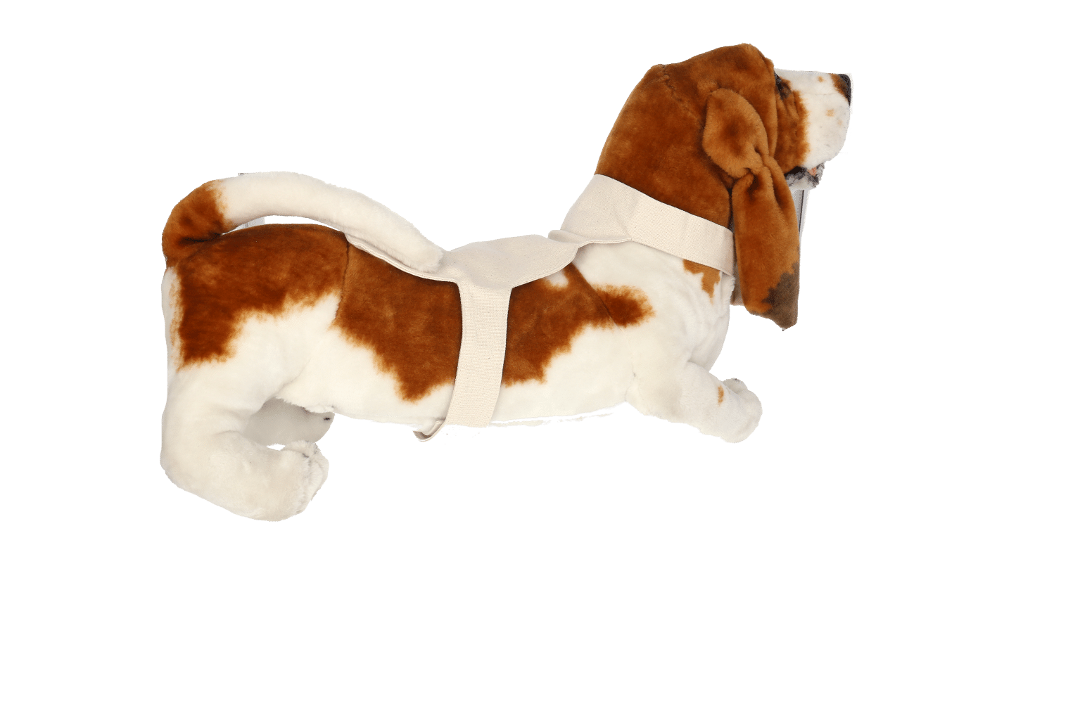 Stoffdetektor kleiner Hund
