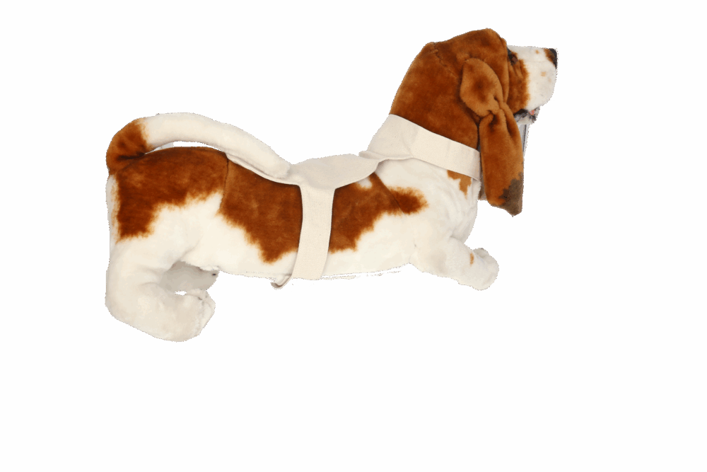 Stoffdetektor großer Hund