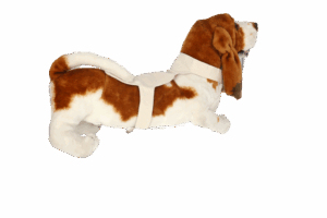 Stoffdetektor großer Hund