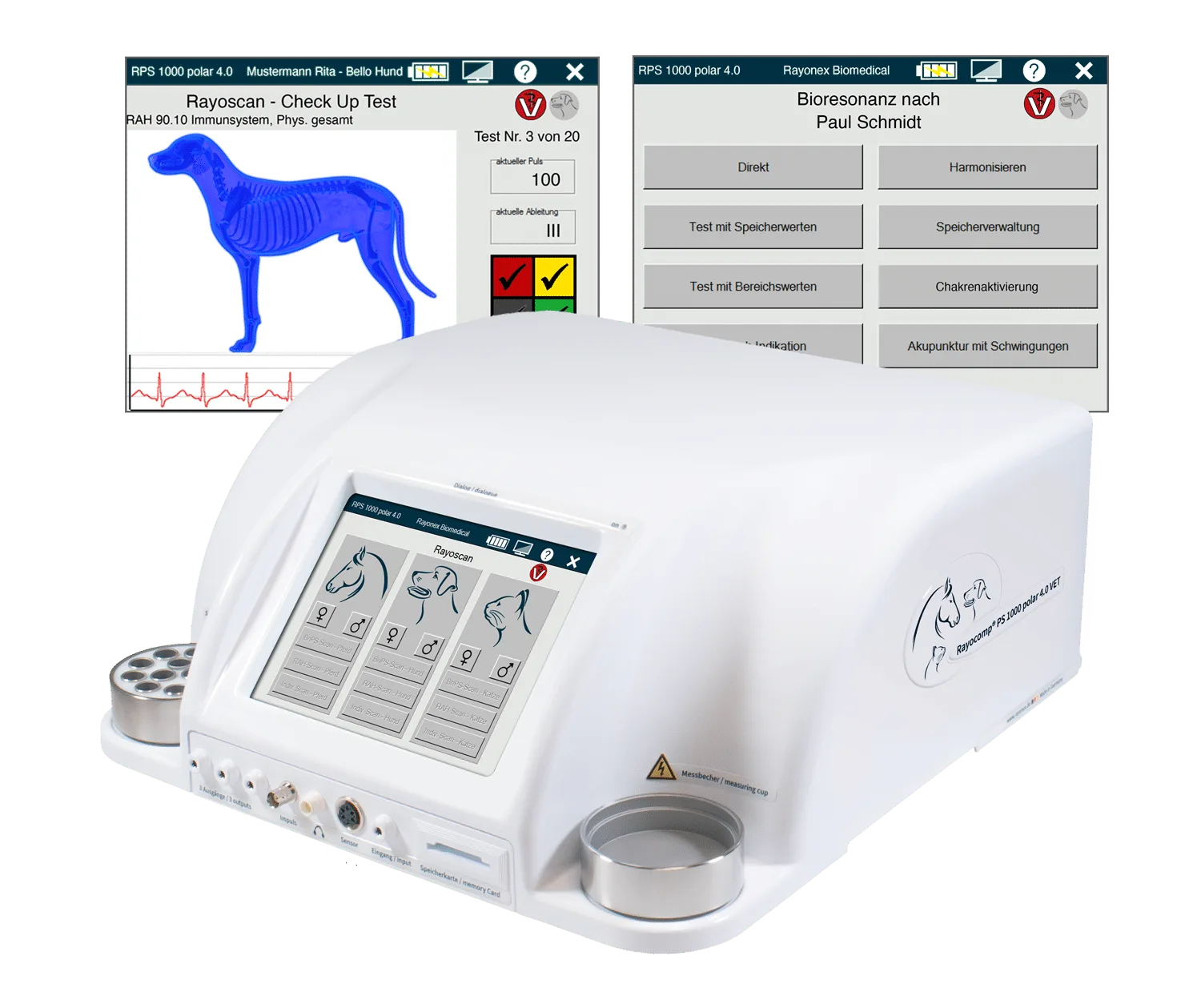 Rayocomp PS 1000 polar 4.0 VET-Set mit Gerät und zwei Rayoscan®-Softwarefenstern