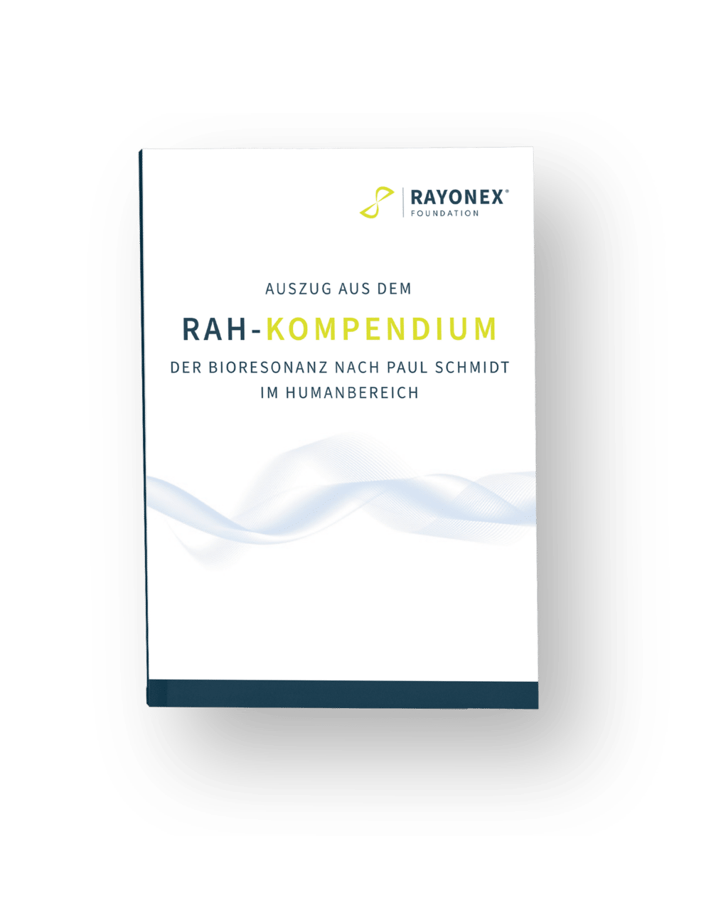 Auszug aus dem RAH-Kompendium
