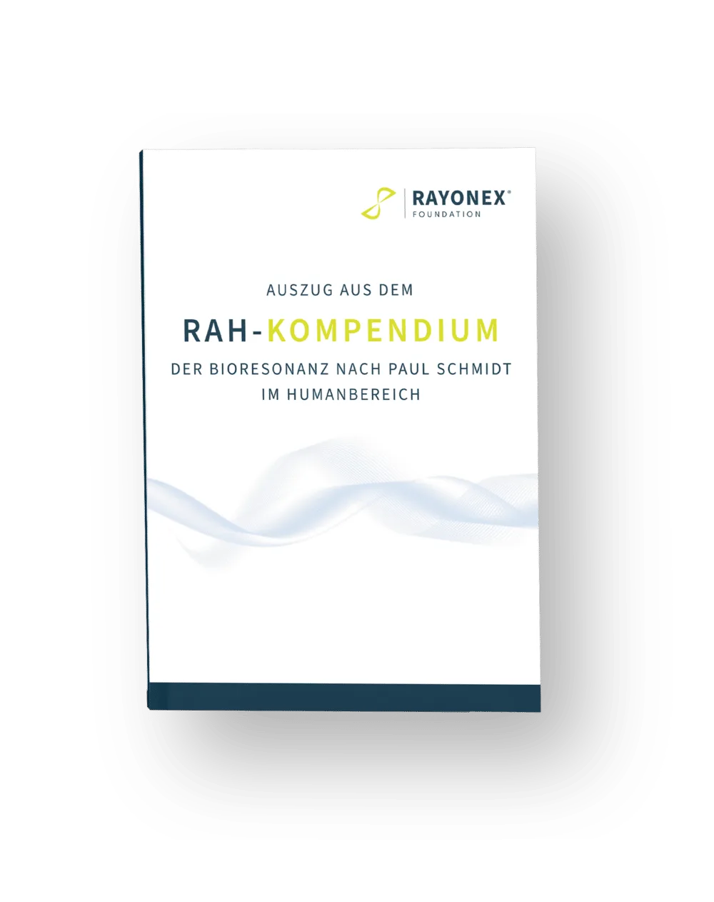 Auszug aus dem RAH-Kompendium